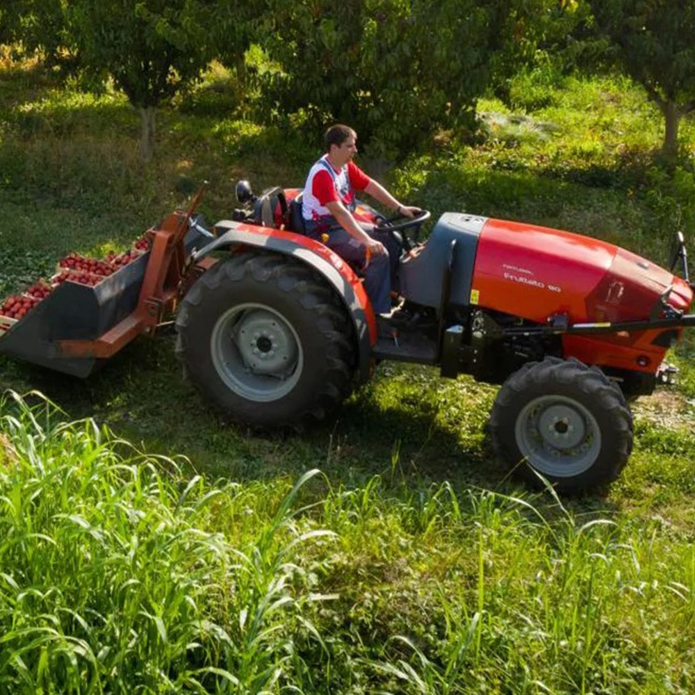 Same Frutteto Natural Faz V